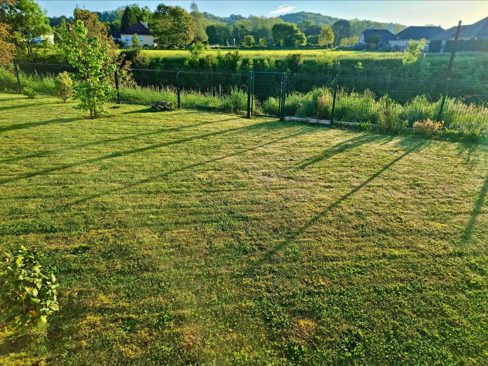 jardin vue séjour en face