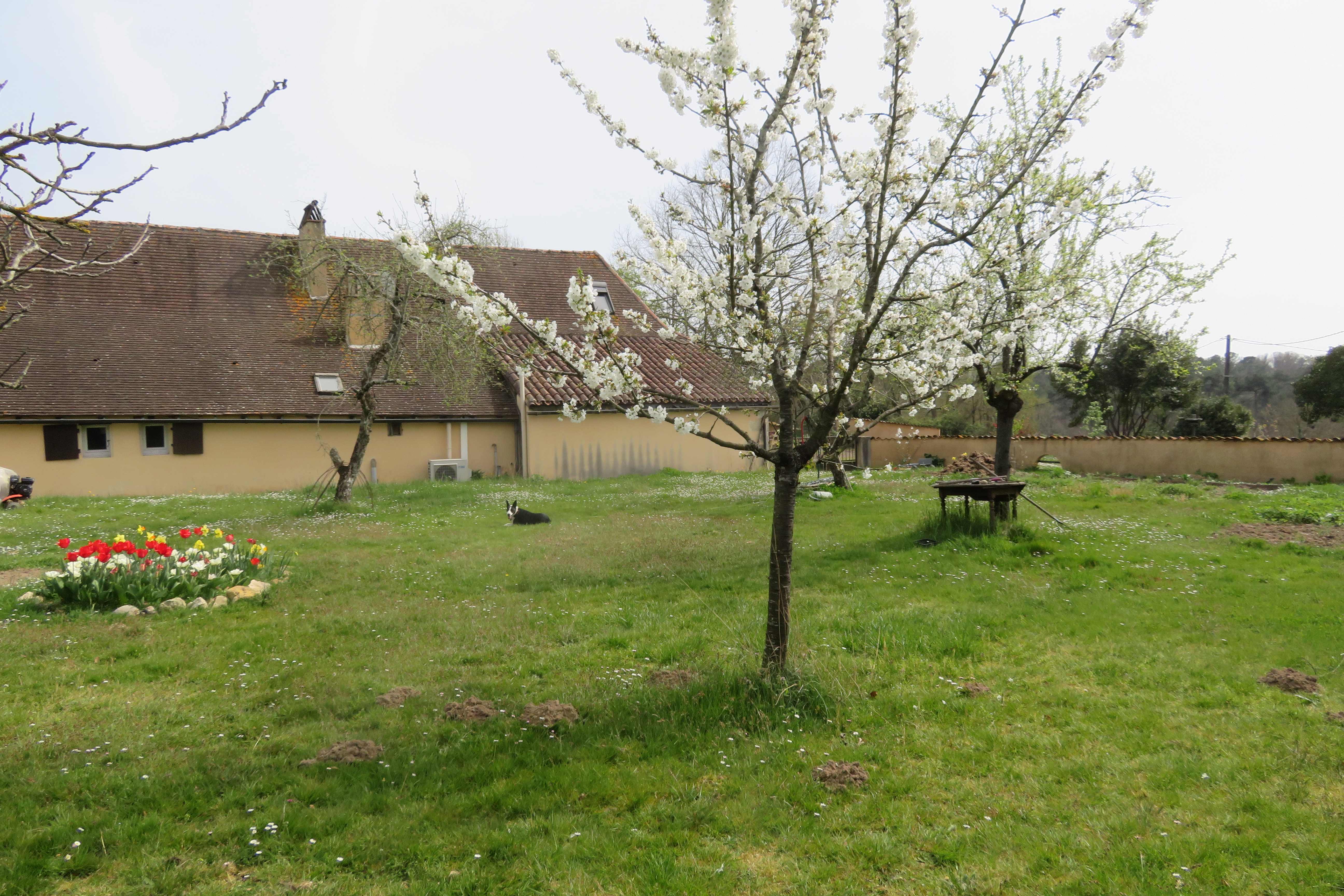 derrière la maison, le jardin