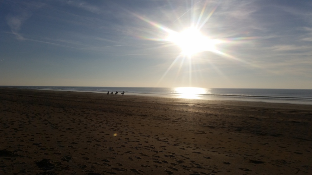 A cheval sur la plage de Coudeville sur mer  (10 min en voiture)