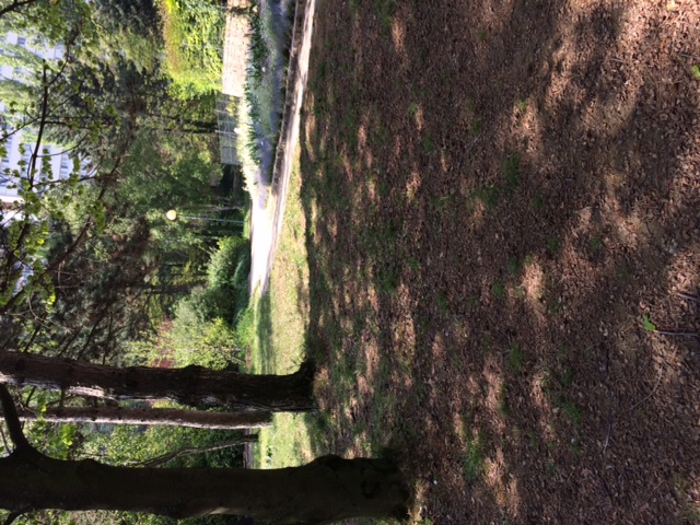 Une vue du Parc Georges Brassens