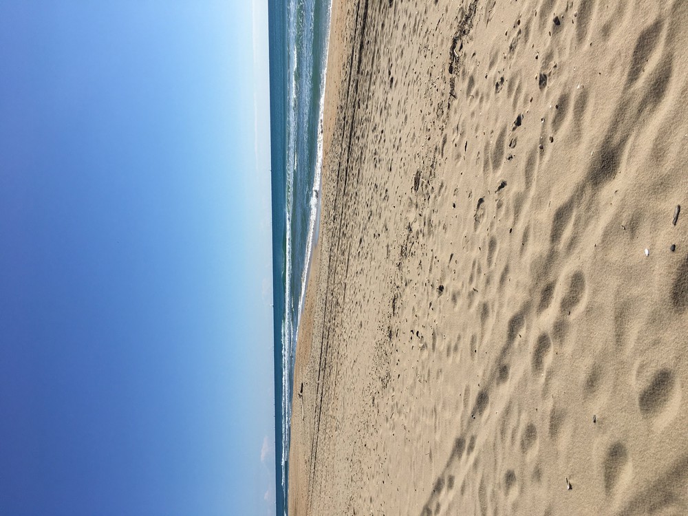 Plage Le lido à Sète