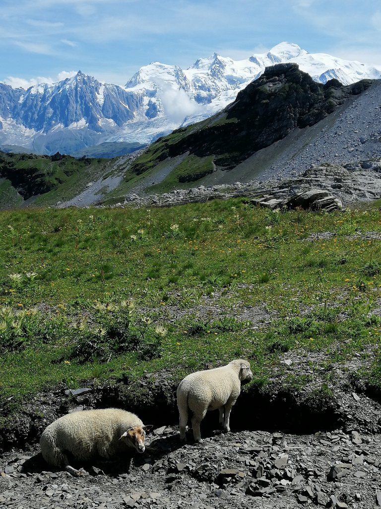 le vallon du Dérochoir, sous l'oeil attentif du Mont Blanc
