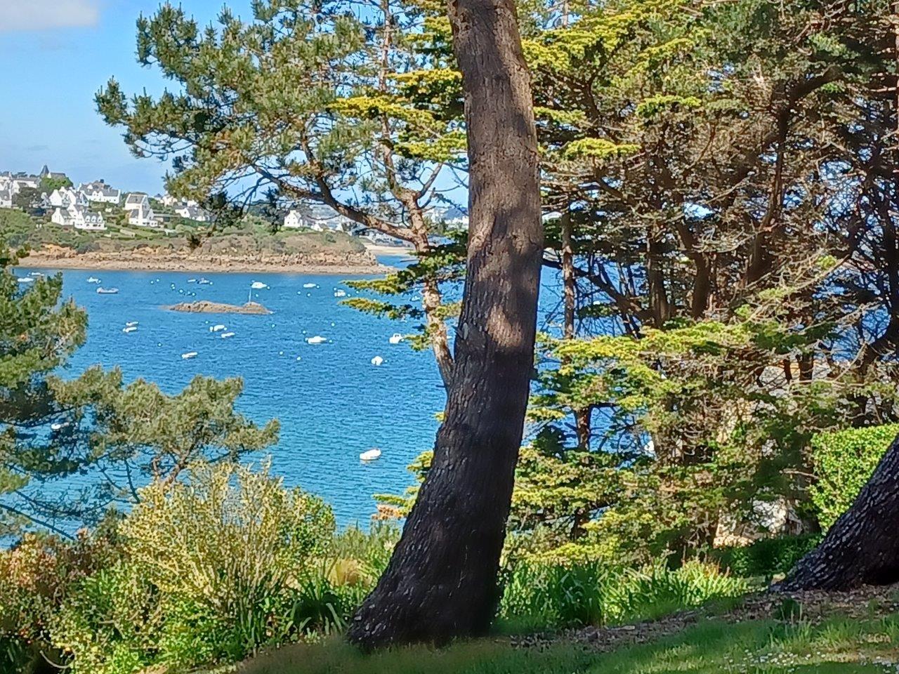 Promenade sur la baie