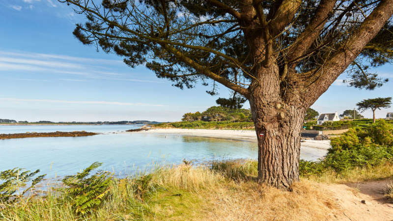 Plage Landéda