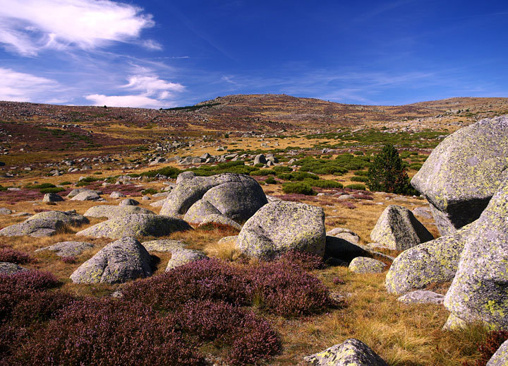 Mont Lozère, 1h.