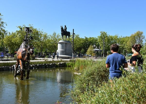 La place Napoléon, coeur de ville