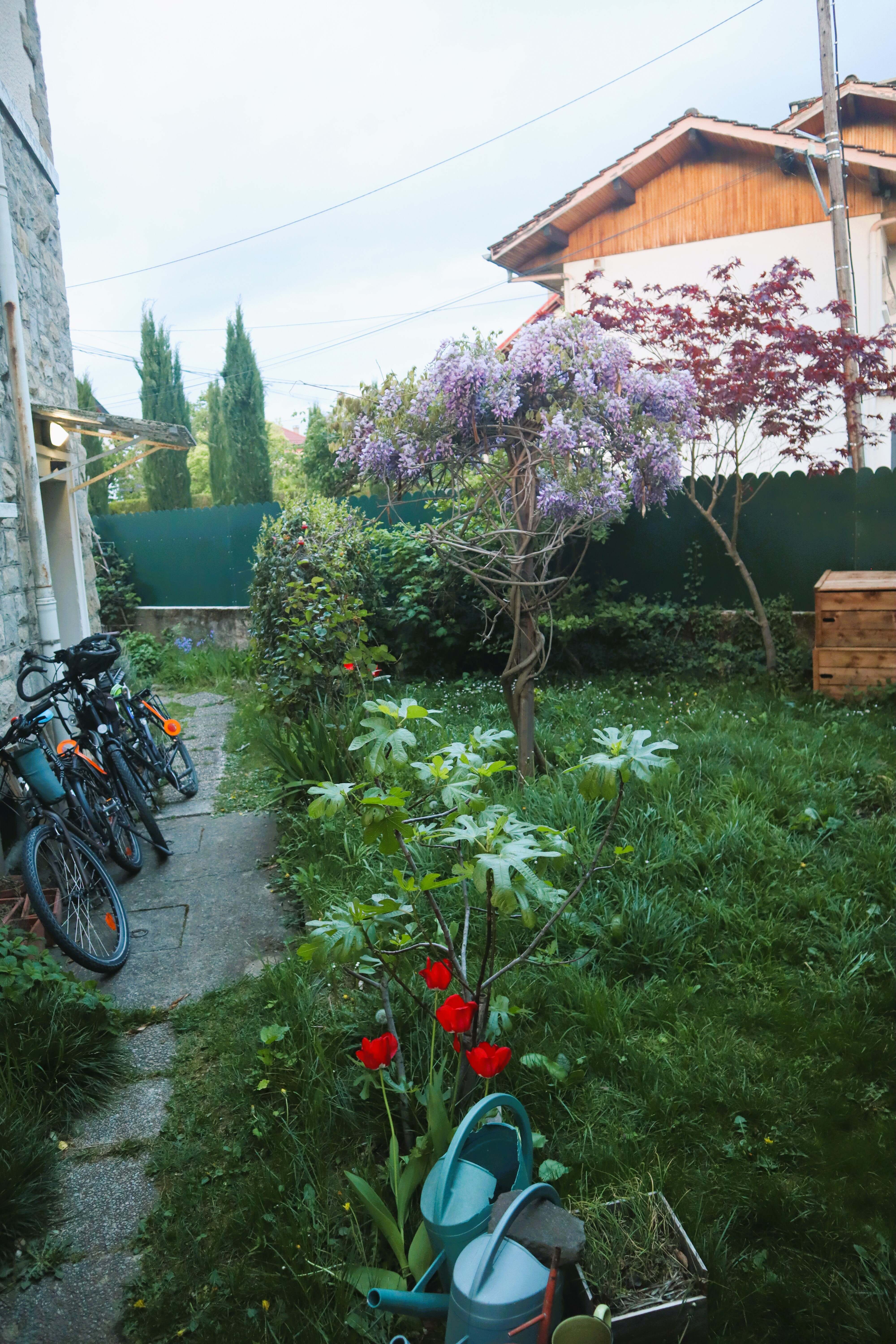 Jardin où nous installerons table et chaises