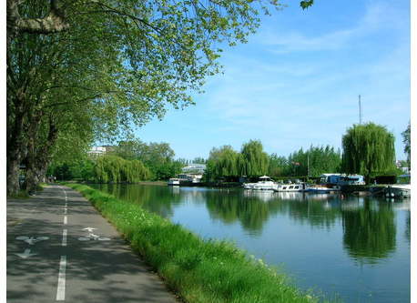 Piste cyclable de Strasbourg