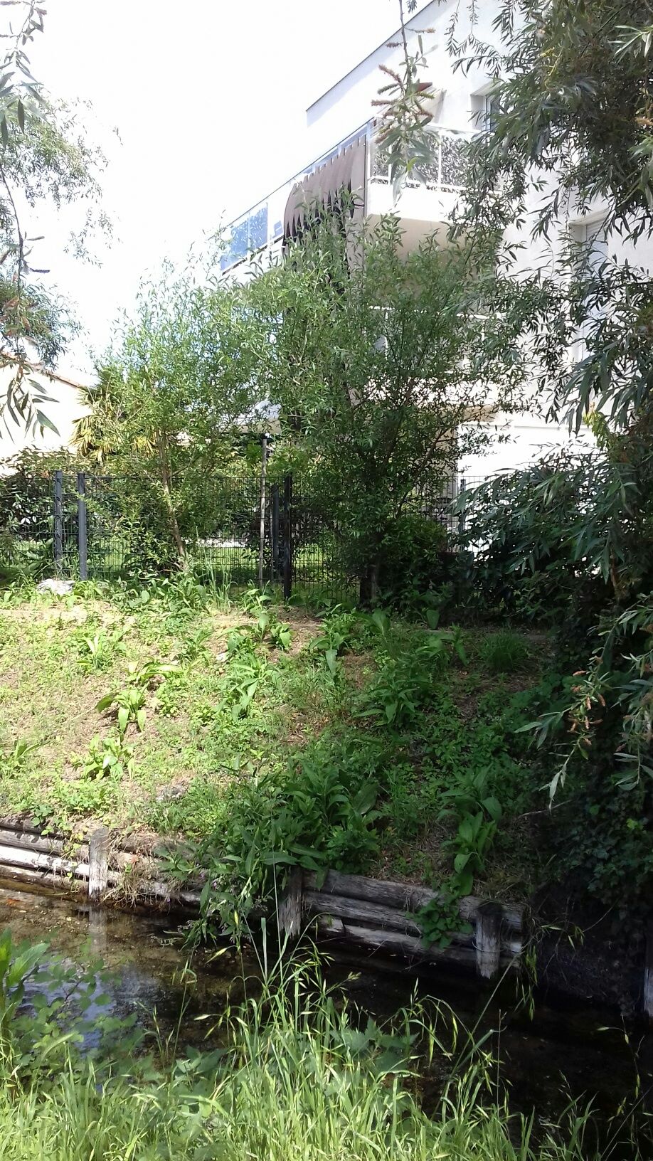 terrasse vue du canal