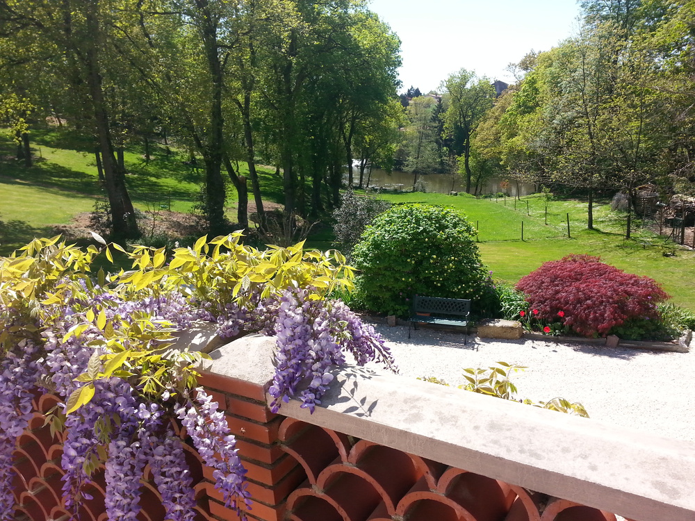 vue de la terrasse sur la Sèvre