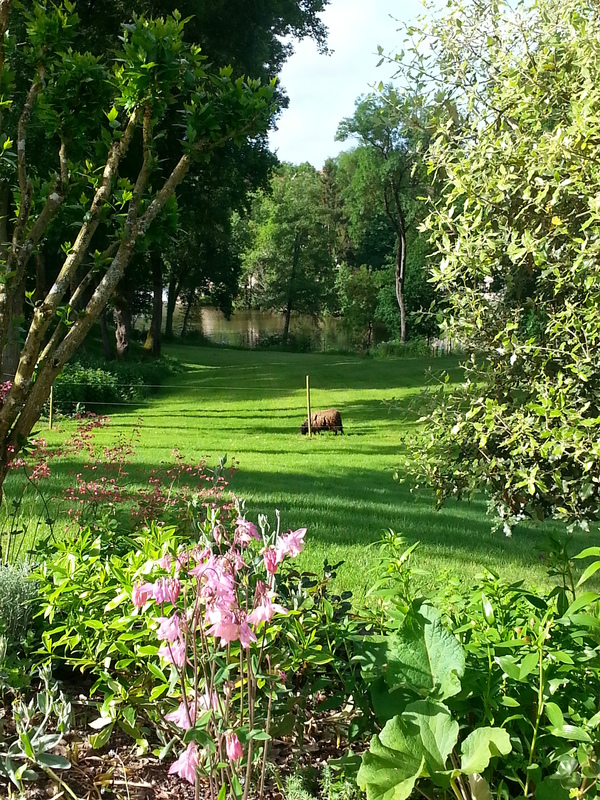 le jardin s'étend jusqu'à la Sèvre