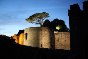 les tours du château la nuit