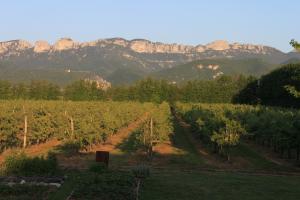 Vue sur le Vercors depuis la maison